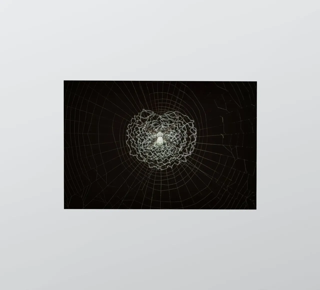 Ein Netz der Liebe - Die Spinne webt das Netz der Liebe Sticker von Curious Collections by Marielle Leenders