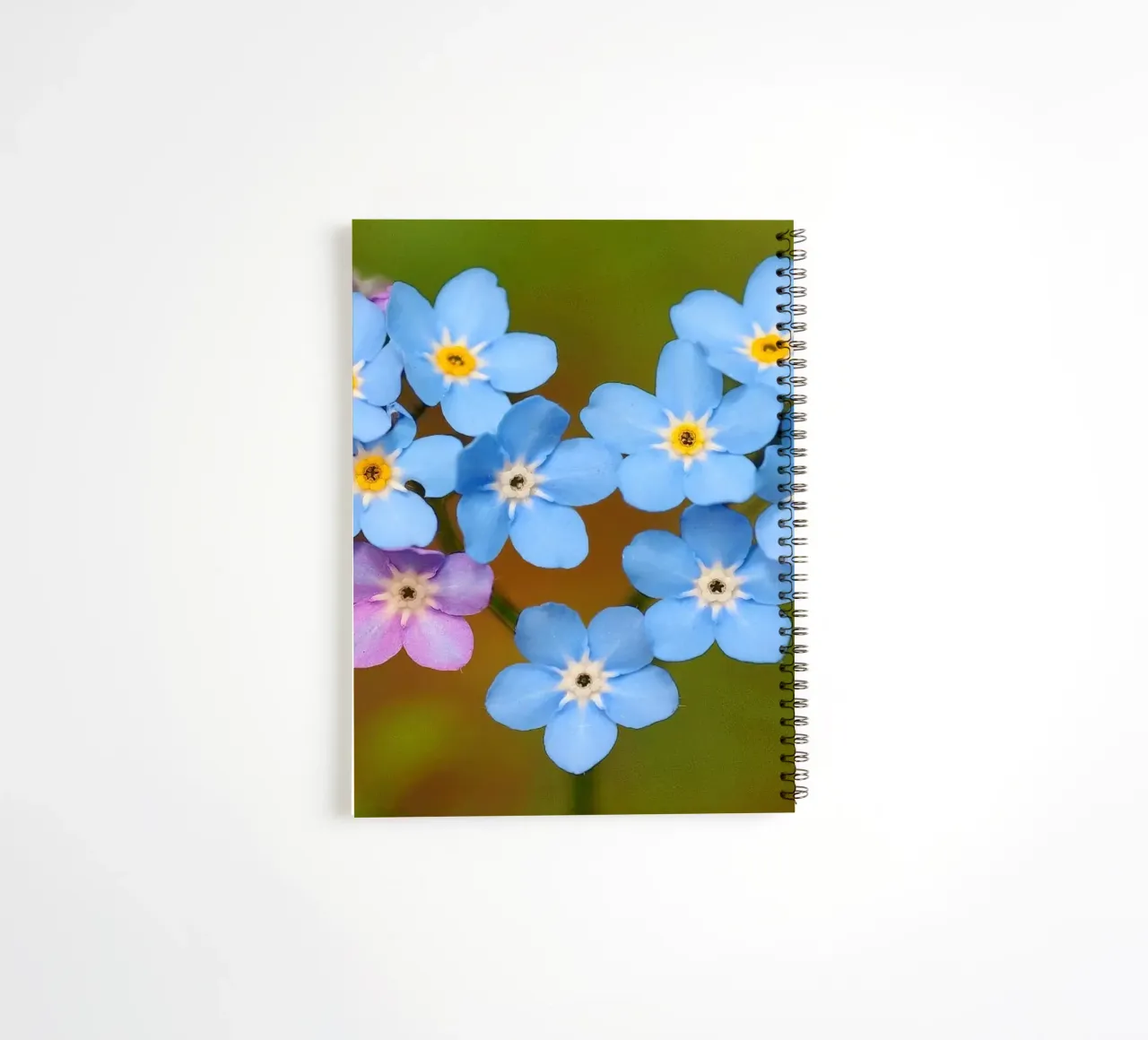 Un cuore blu - Nontiscordardime che simboleggia l'amore diario ad anelli da Curious Collections by Marielle Leenders