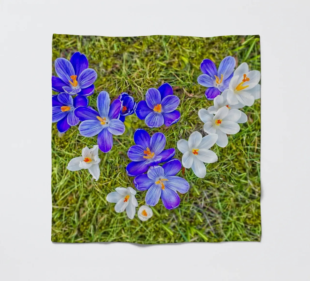 Amore di primavera - Crochi a forma di cuore coperta in pile da Curious Collections by Marielle Leenders