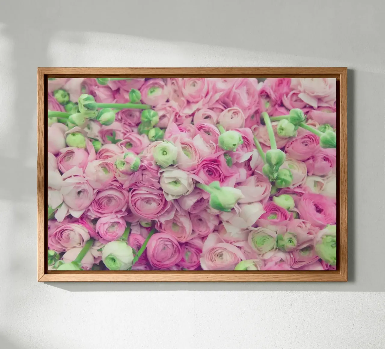 Ranunculus Light alluminio dibond da Catherine McDonald