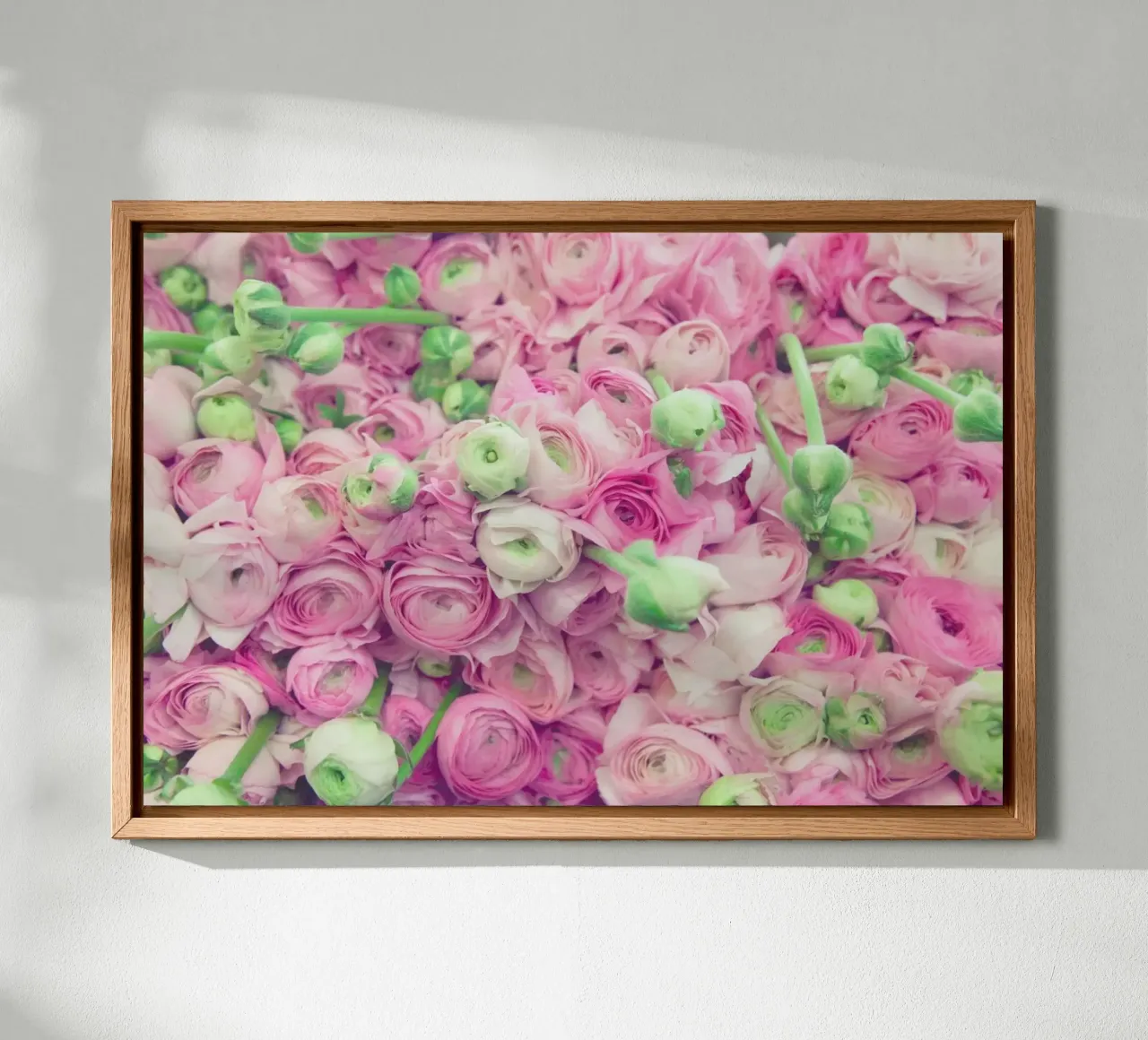 Ranunculus Light tela da Catherine McDonald