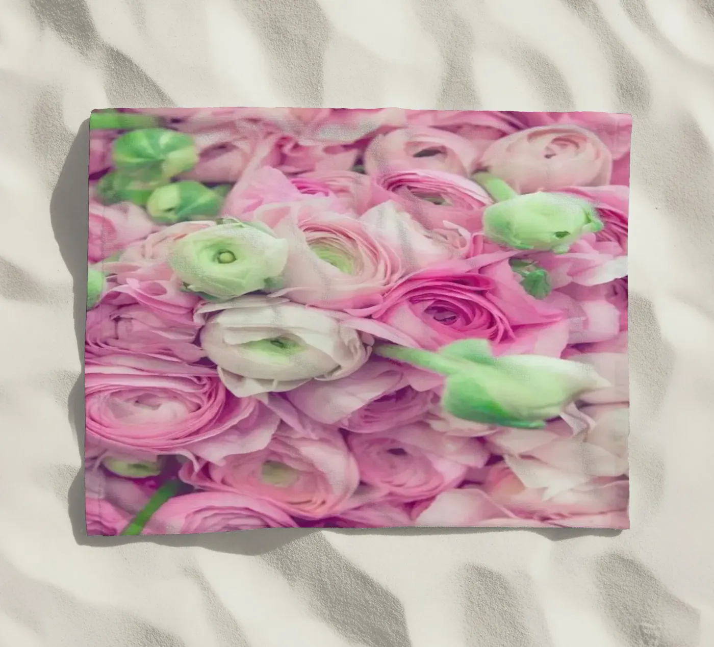 Ranunculus Light telo mare da Catherine McDonald