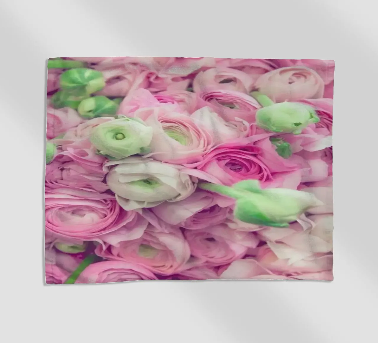 Ranunculus Light telo mare da Catherine McDonald