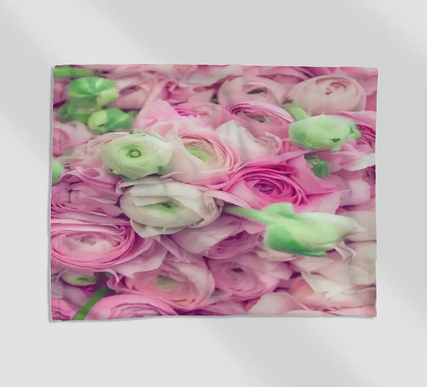 Ranunculus Light telo mare da Catherine McDonald