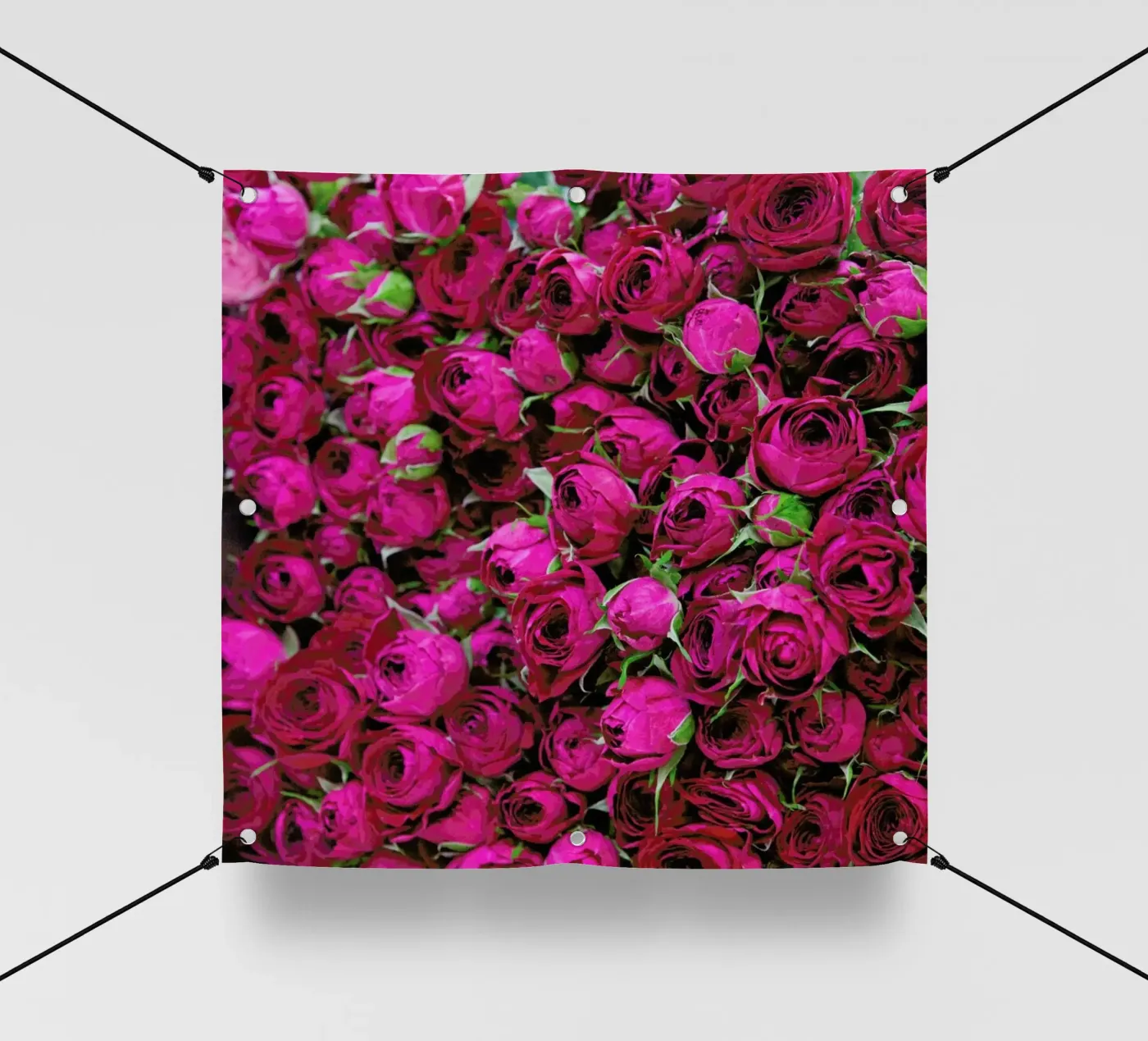 Ranunculus PVC Plane von Catherine McDonald