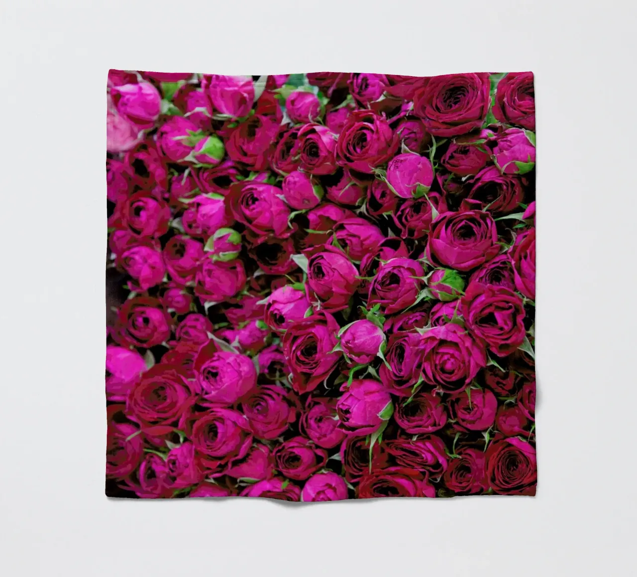 Ranunculus Fleecedecke von Catherine McDonald