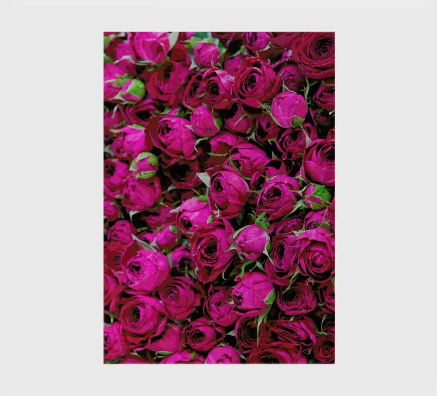 Ranunculus notebook by Catherine McDonald