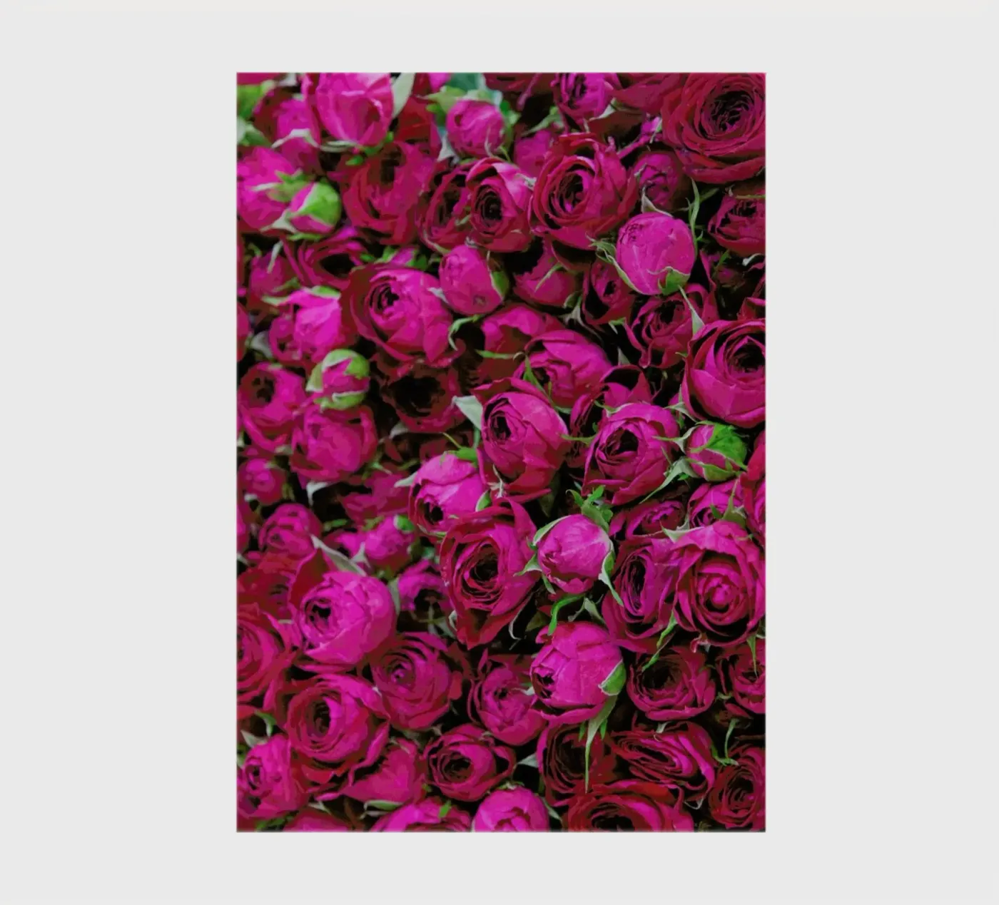 Ranunculus notebook by Catherine McDonald