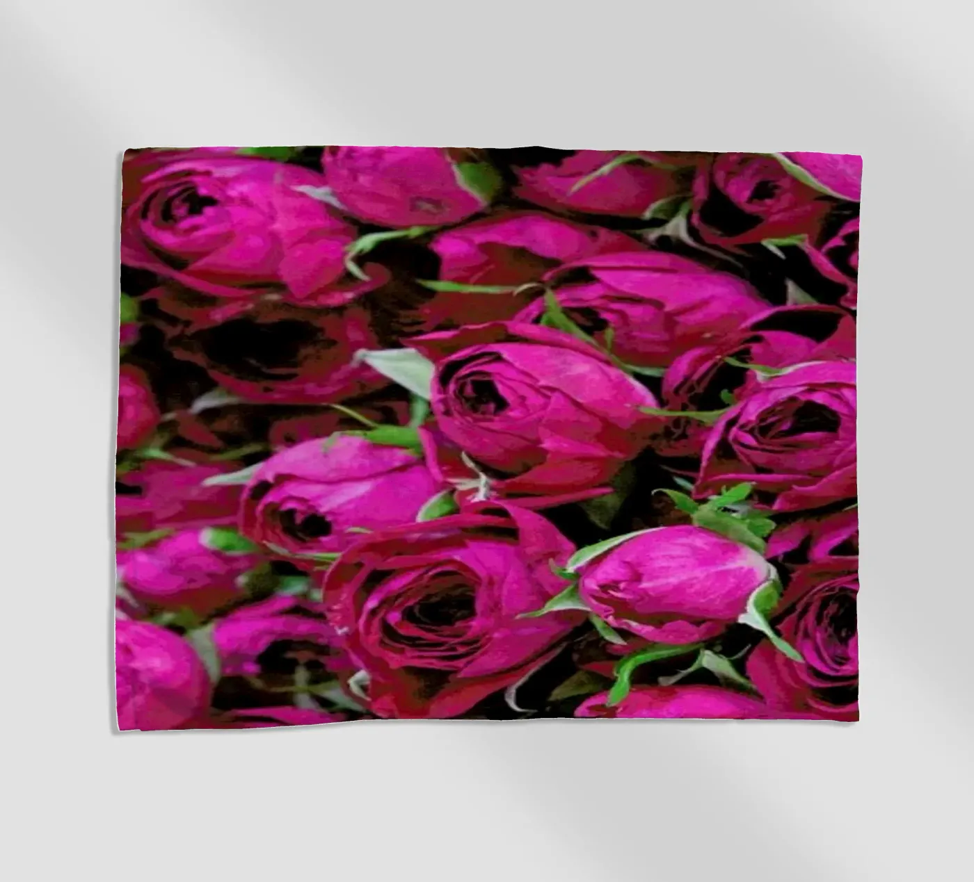 Ranunculus telo mare da Catherine McDonald