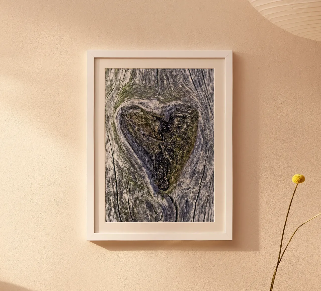 Un cuore nella foresta - La cavità dell'albero che simboleggia l'amore poster con telaio in plastica da Curious Collections by Marielle Leenders