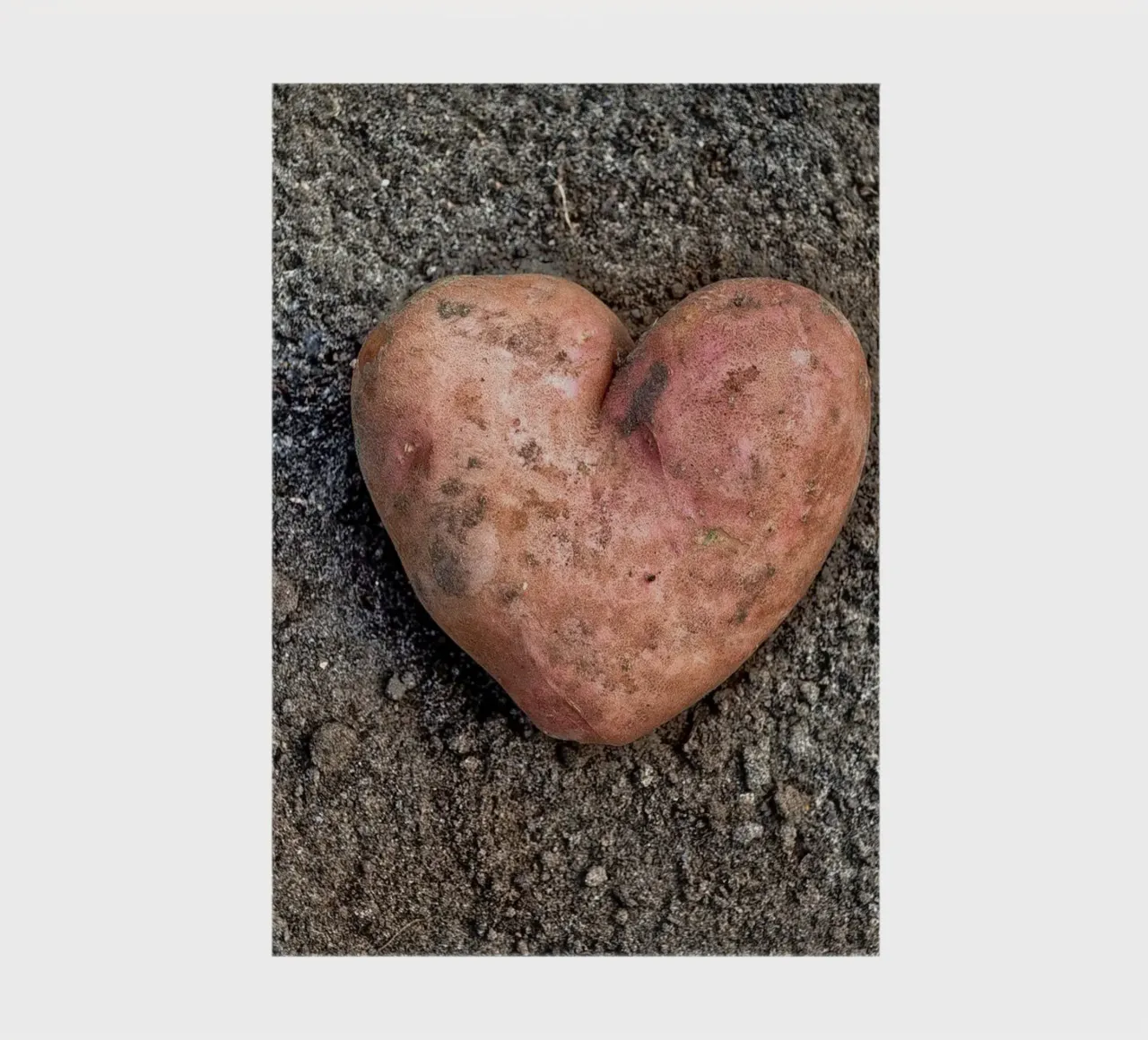 Symbole d'amour et de nourriture - Patate douce en forme de cœur carnet de notes de Curious Collections by Marielle Leenders