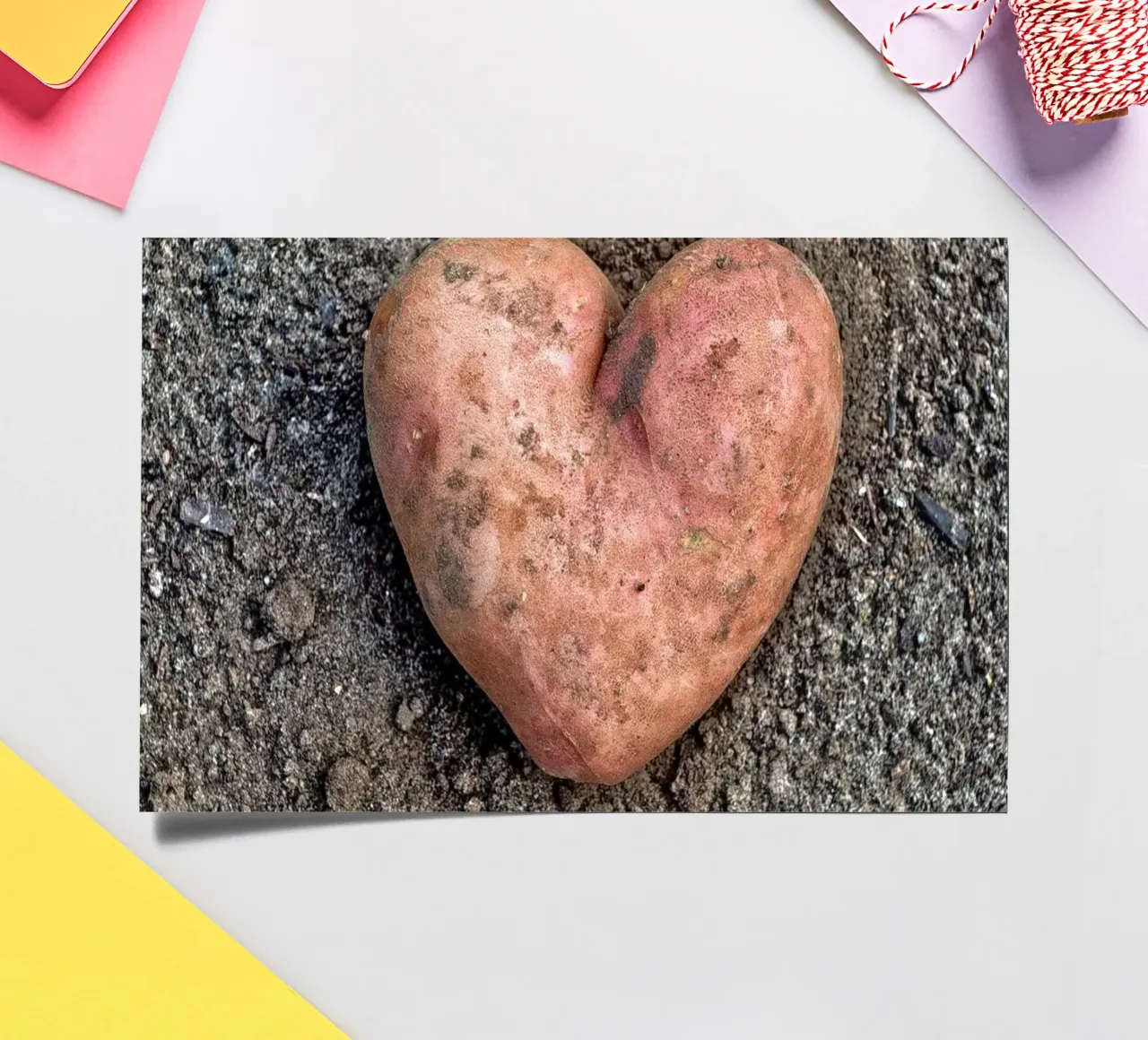 Symbole d'amour et de nourriture - Patate douce en forme de cœur planche autocollant de Curious Collections by Marielle Leenders