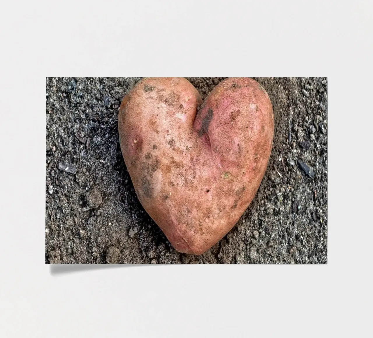 Symbole d'amour et de nourriture - Patate douce en forme de cœur planche autocollant de Curious Collections by Marielle Leenders