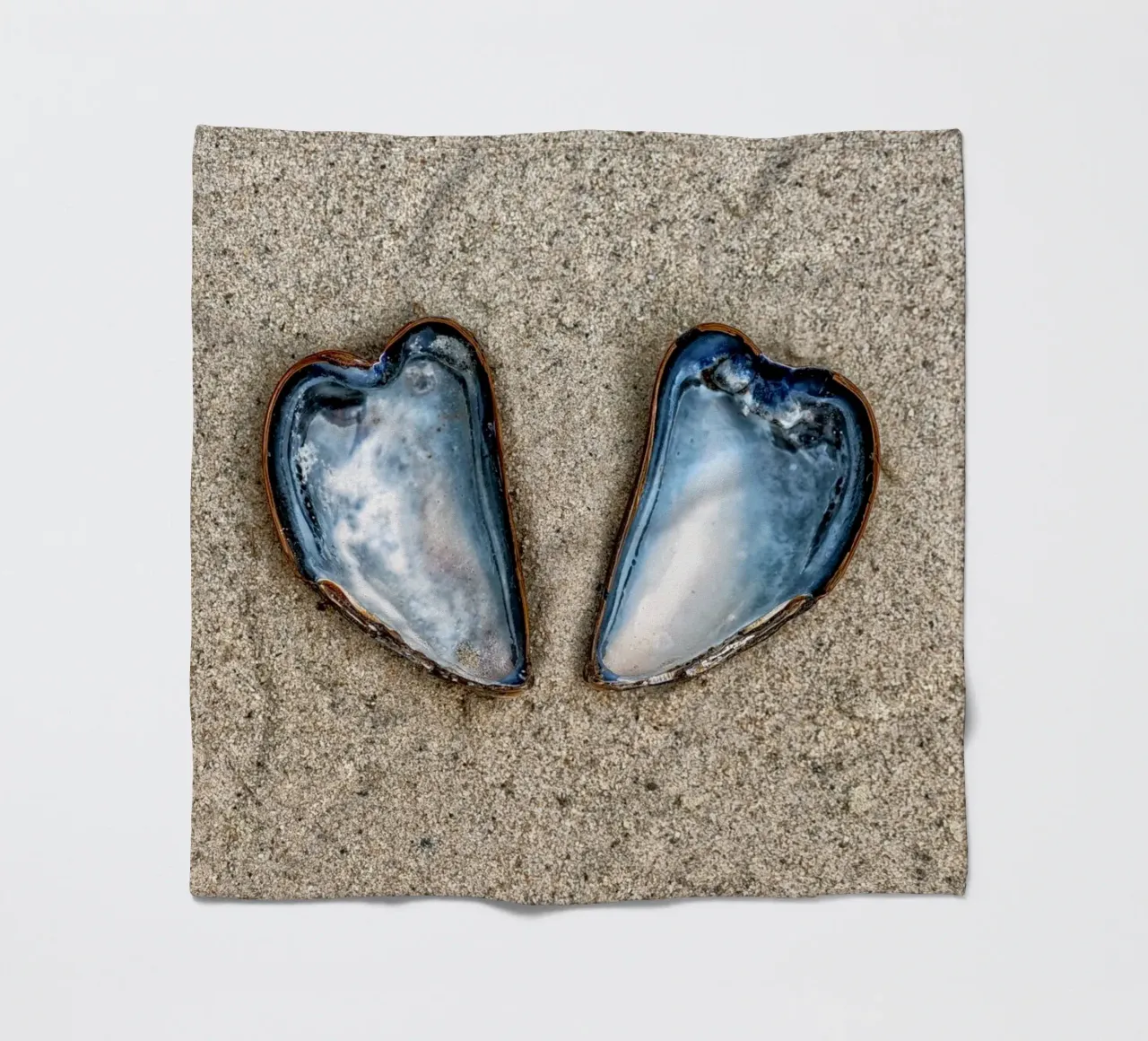 A Symbol of Love and Unity - Two Heart-Shaped Mussels fleece blanket by Curious Collections by Marielle Leenders
