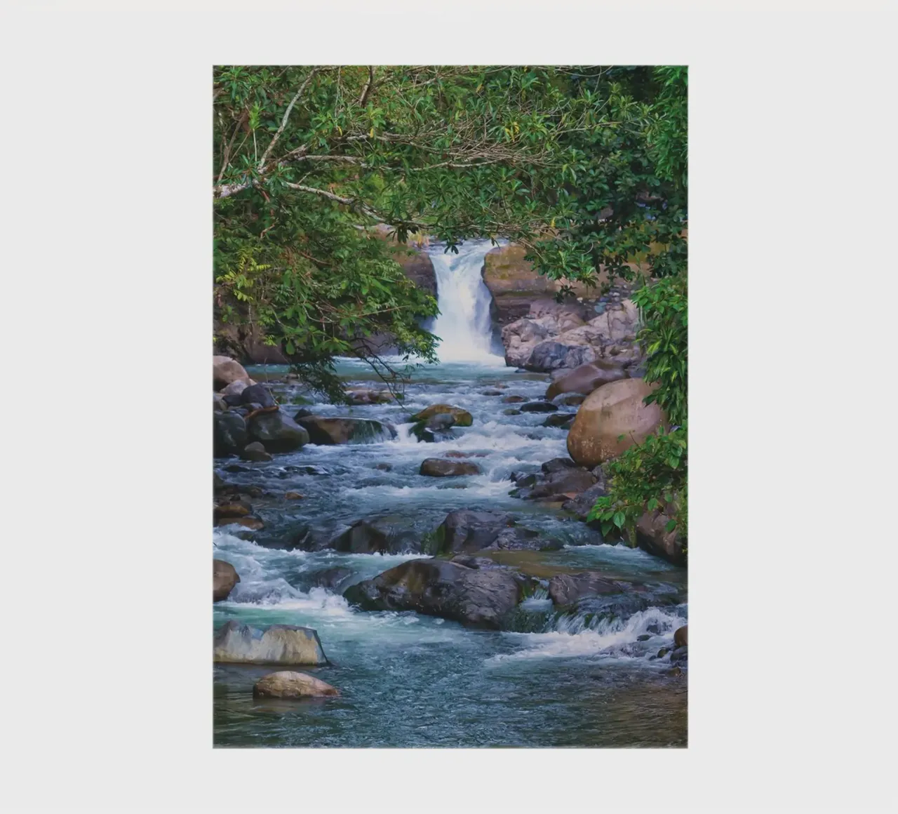 Un joyau caché de la nature - Une cascade sereine dans la jungle carnet de notes de Curious Collections by Marielle Leenders