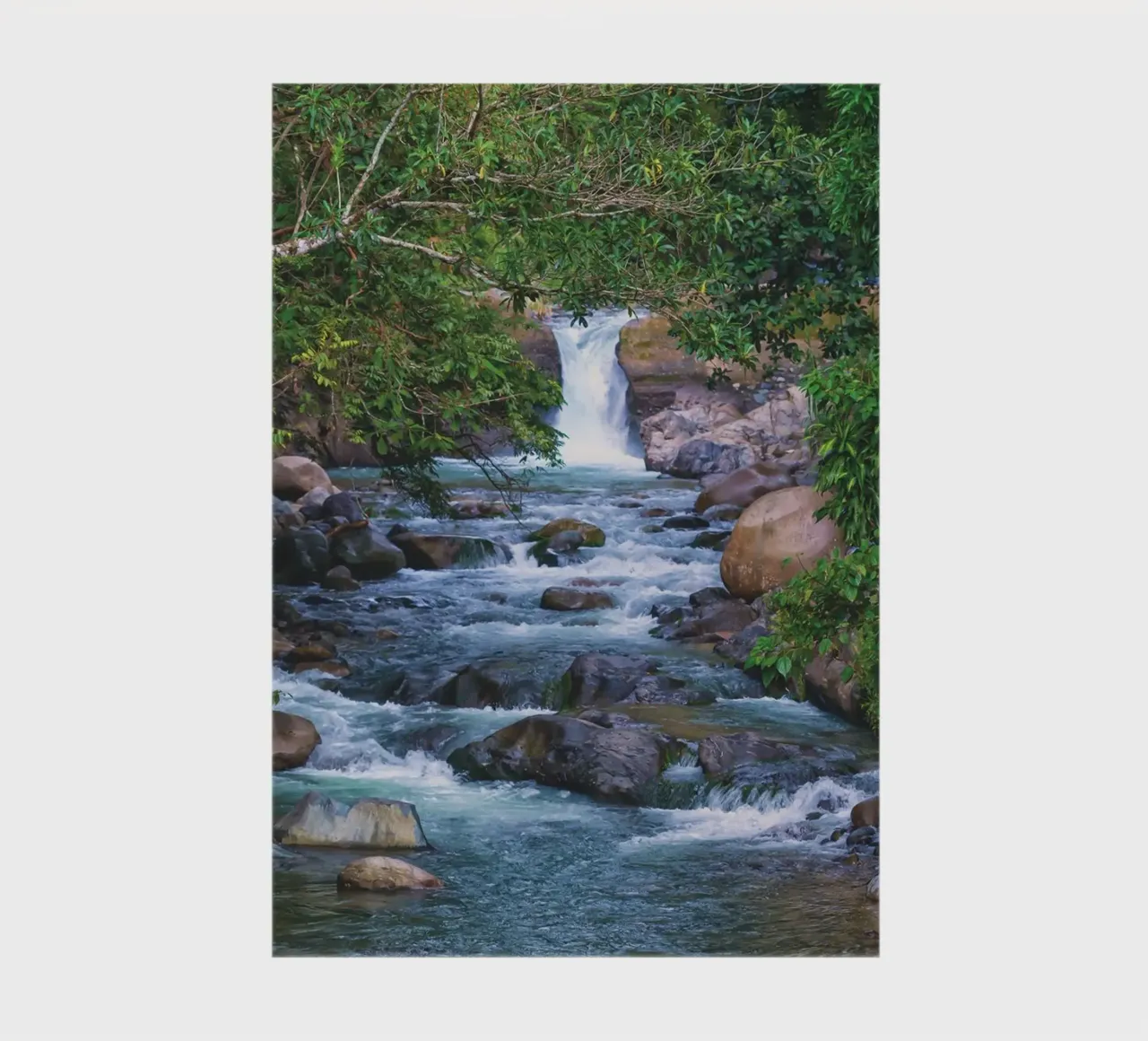 Un joyau caché de la nature - Une cascade sereine dans la jungle carnet de notes de Curious Collections by Marielle Leenders