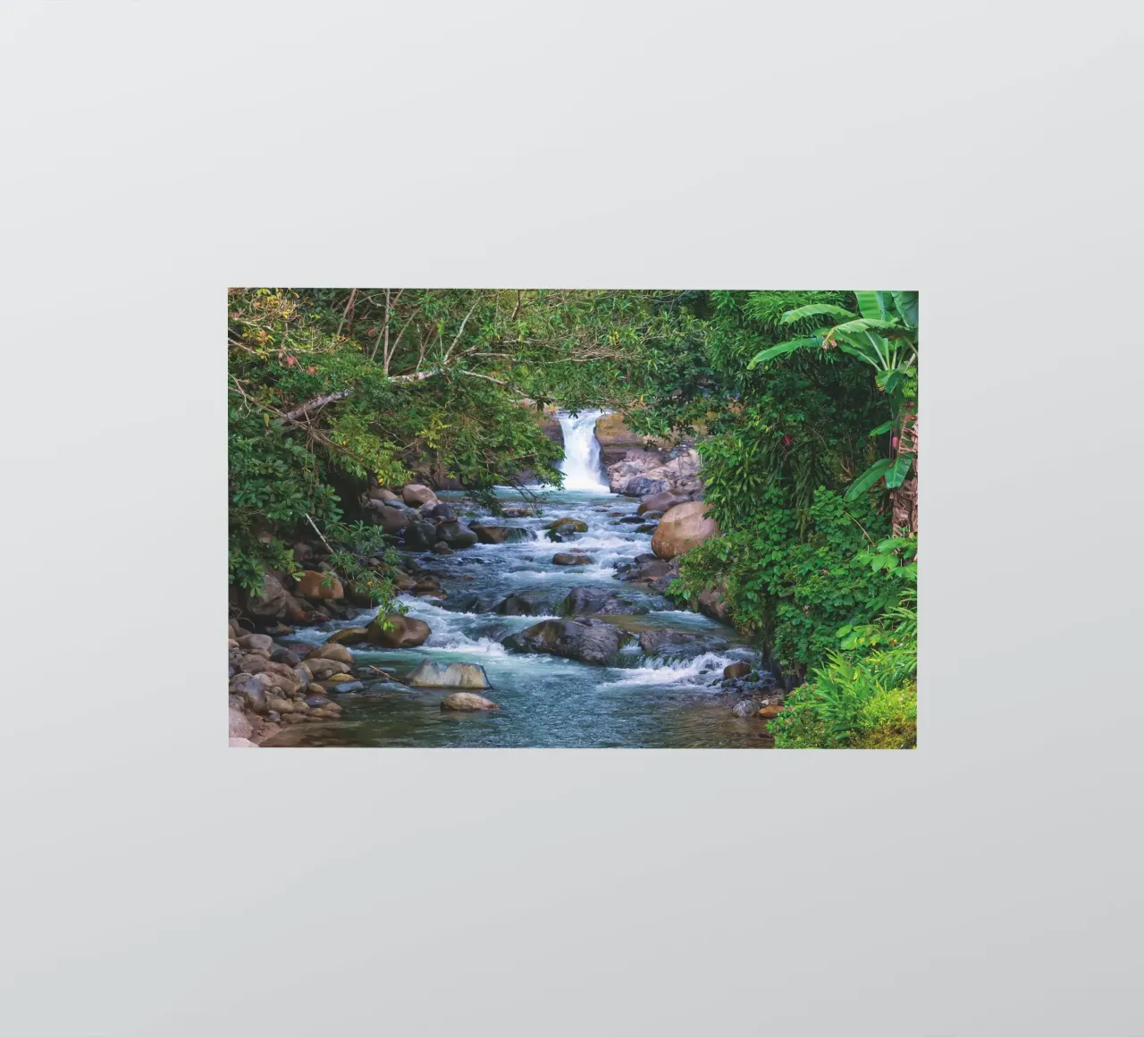 Un joyau caché de la nature - Une cascade sereine dans la jungle autocollant de Curious Collections by Marielle Leenders