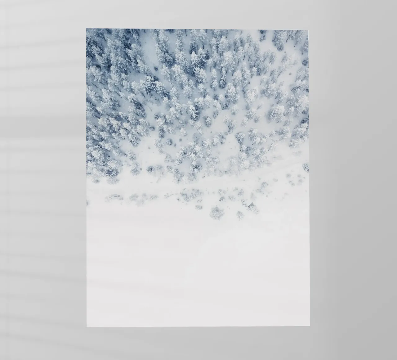Bird's eye view of a winter forest - Minimalist elegance backlit film by Whole©