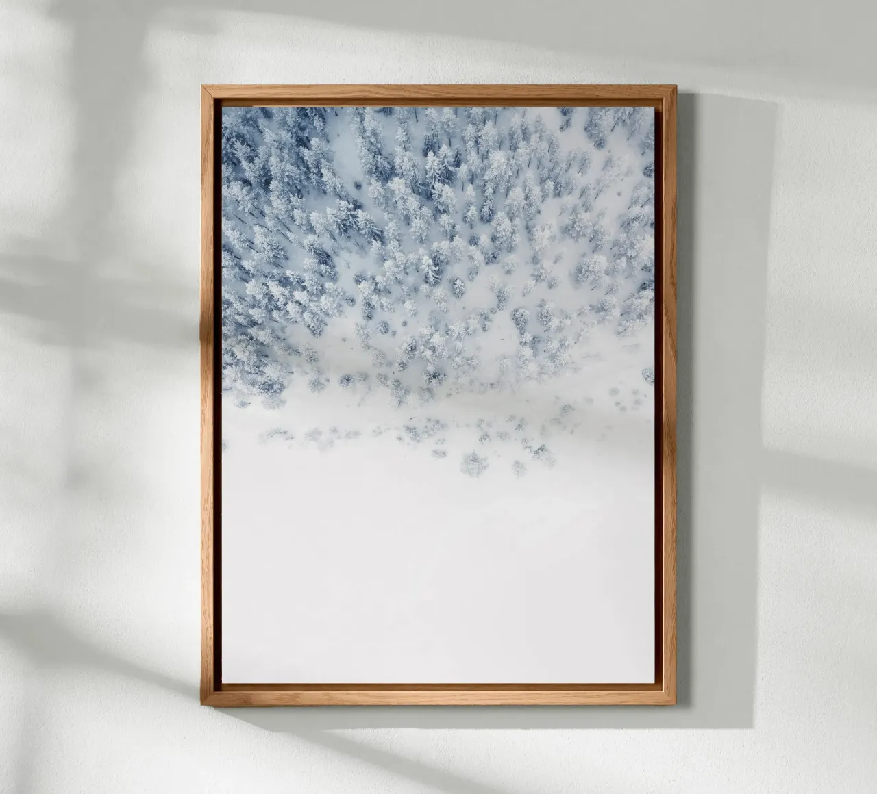 Vista a volo d'uccello di una foresta invernale - Eleganza minimalista alluminio dibond da Whole©