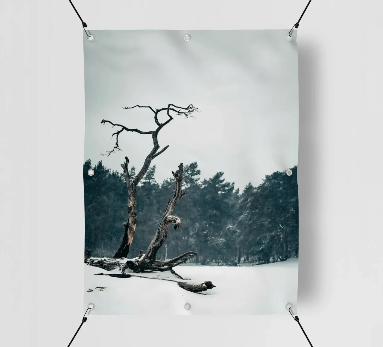 Albero d'inverno - Bellezza solitaria telo in pvc da Whole©