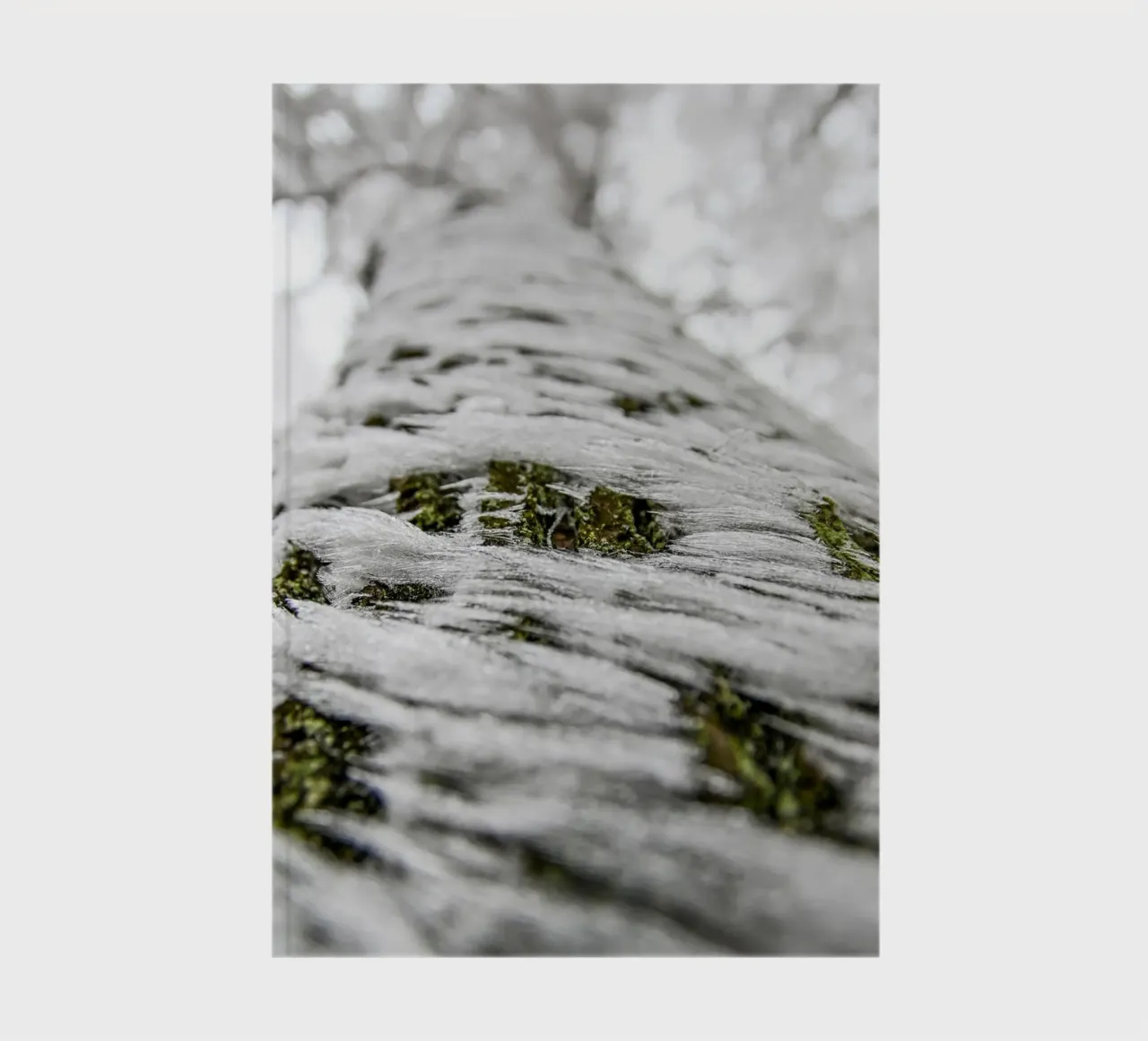 Frozen tree bark - nature detail notebook by Whole©
