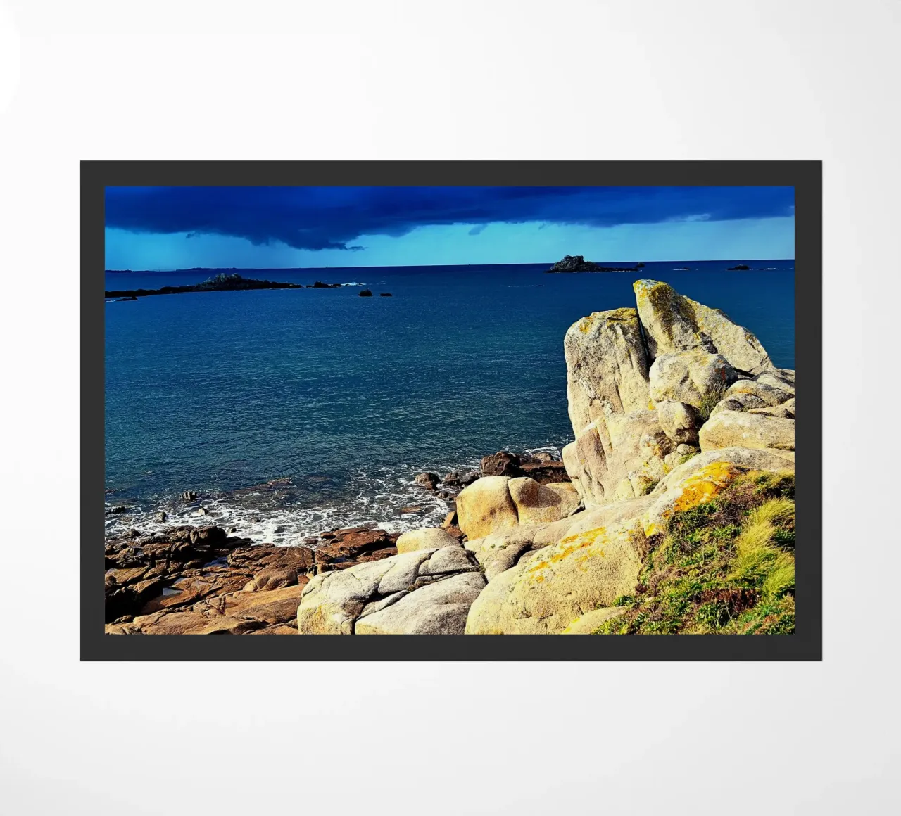 FAA109 zerbino da Thierry vobmann photography