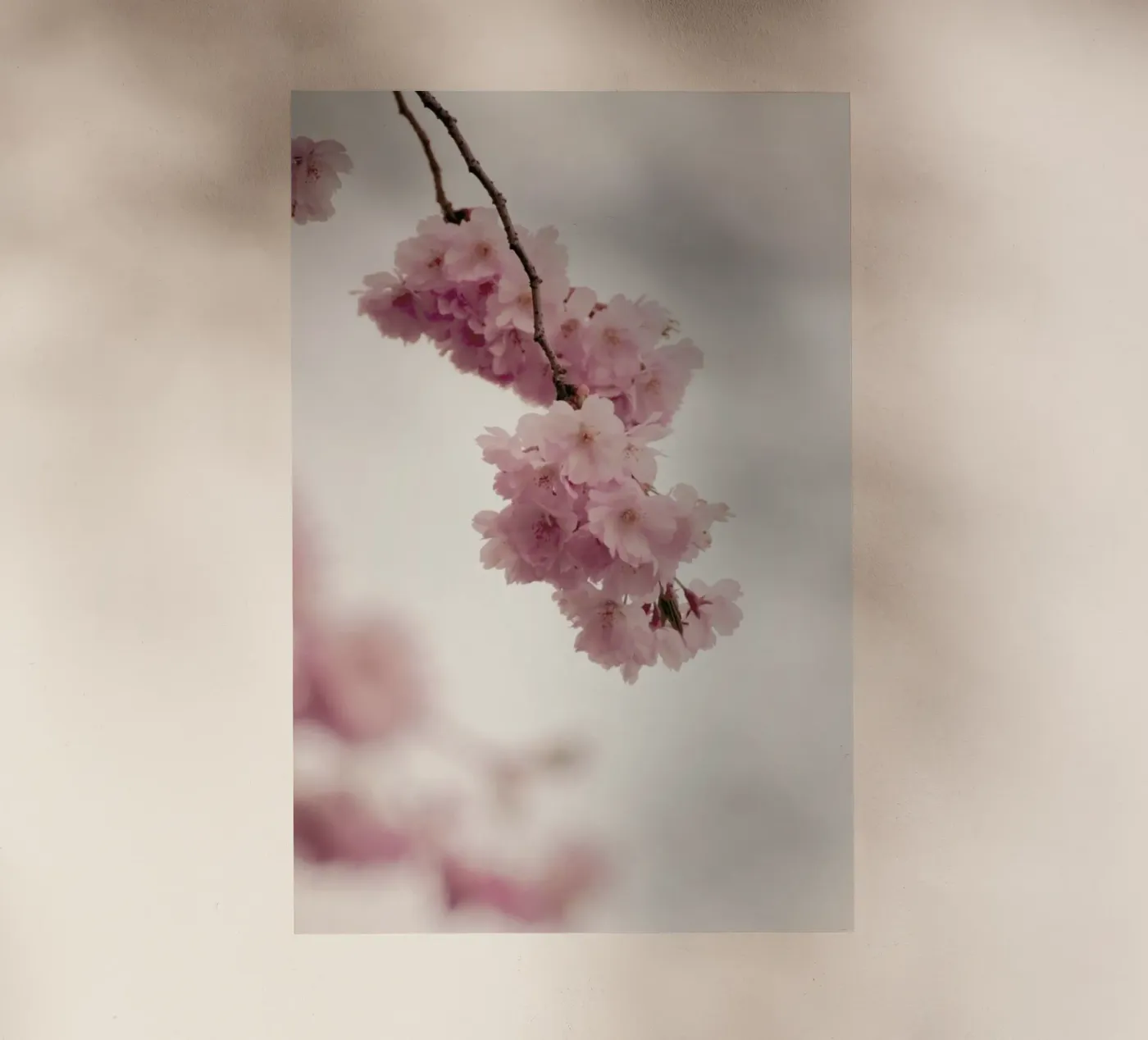 Forever Spring pellicola backlit da Monika Strigel