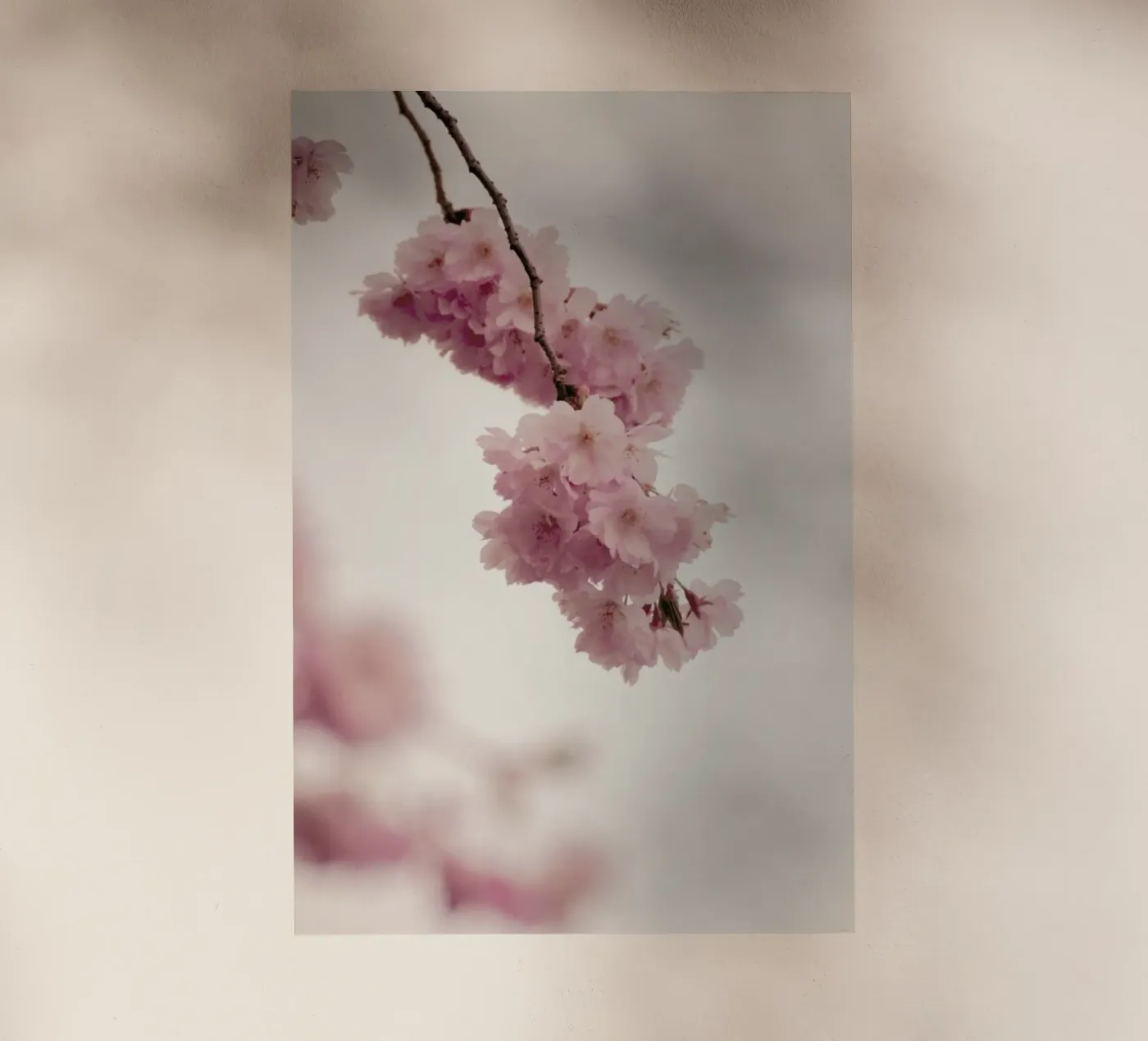 Forever Spring backlit folie van Monika Strigel