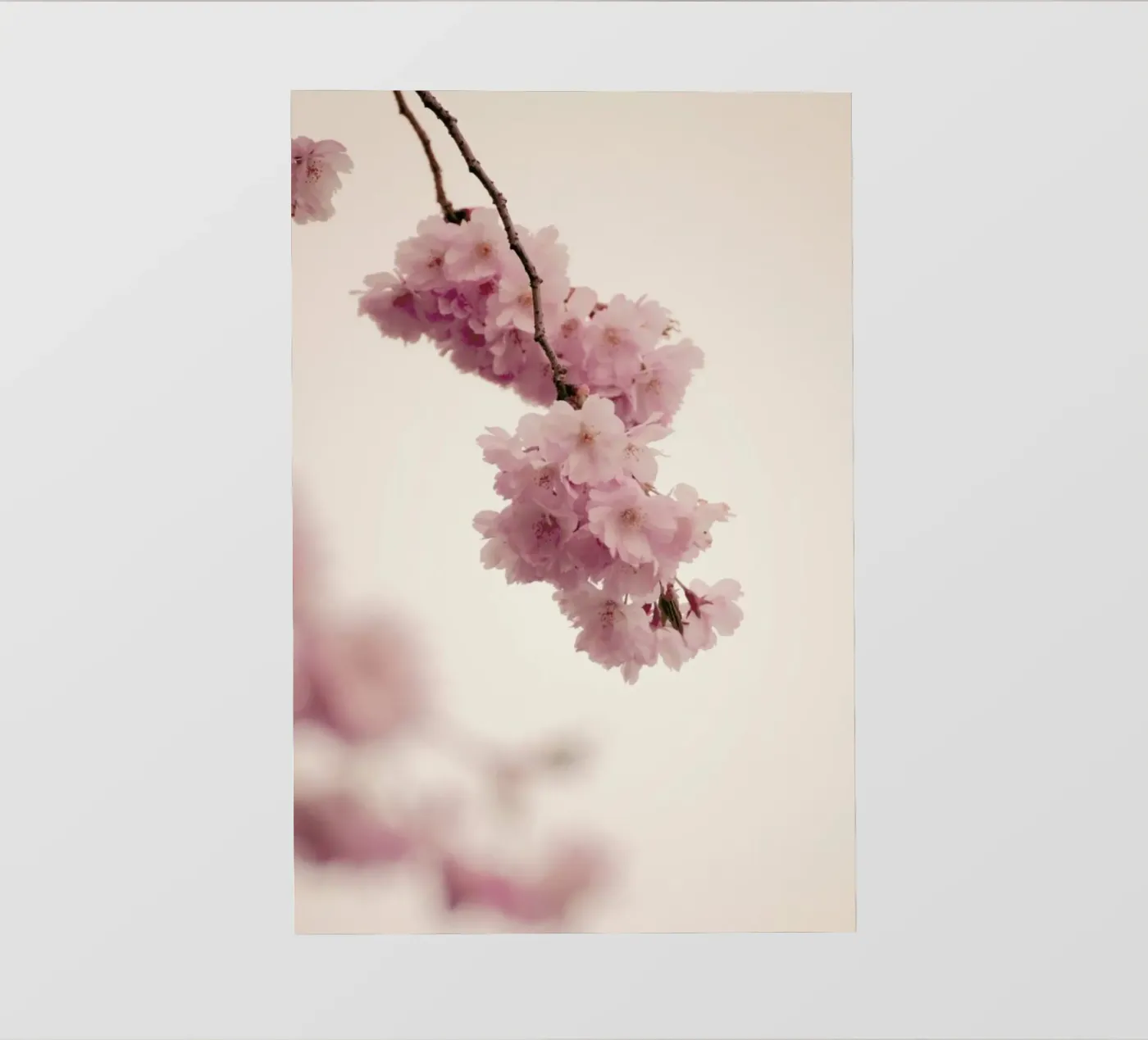 Forever Spring backlit folie van Monika Strigel