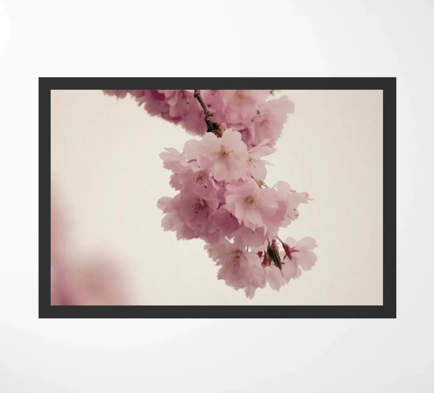 Forever Spring zerbino da Monika Strigel