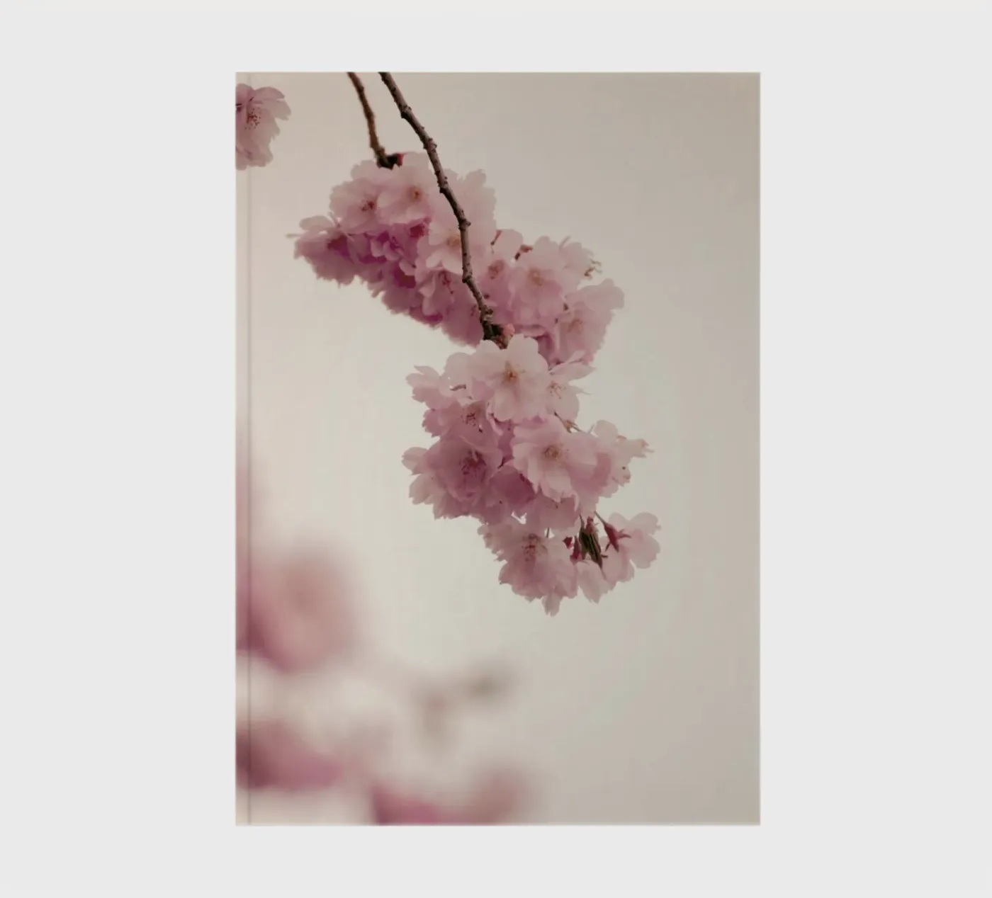 Forever Spring notebook by Monika Strigel