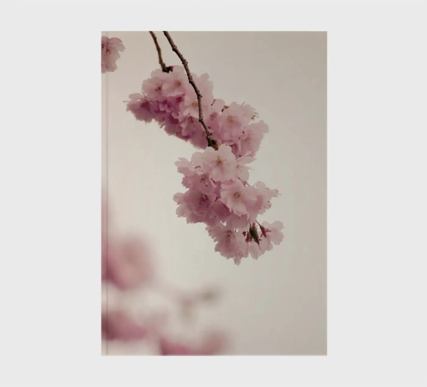 Forever Spring notebook by Monika Strigel