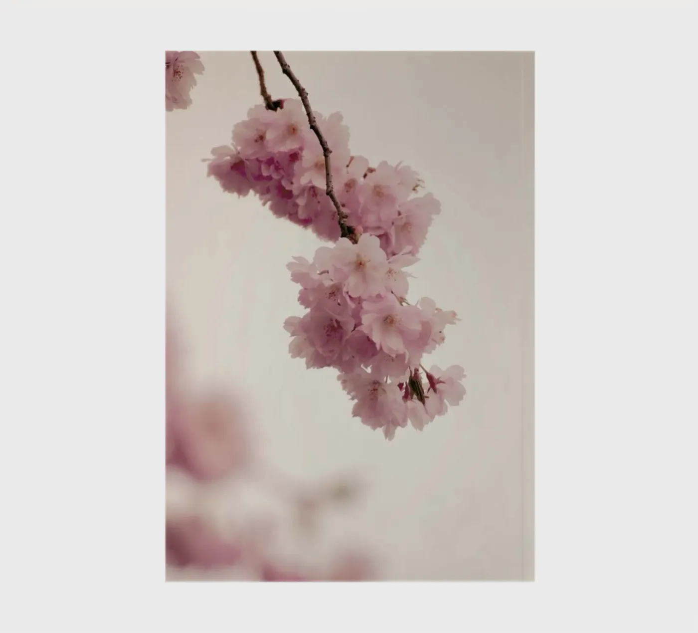 Forever Spring notebook by Monika Strigel