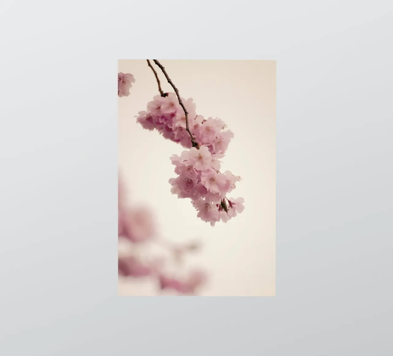 Forever Spring sticker by Monika Strigel