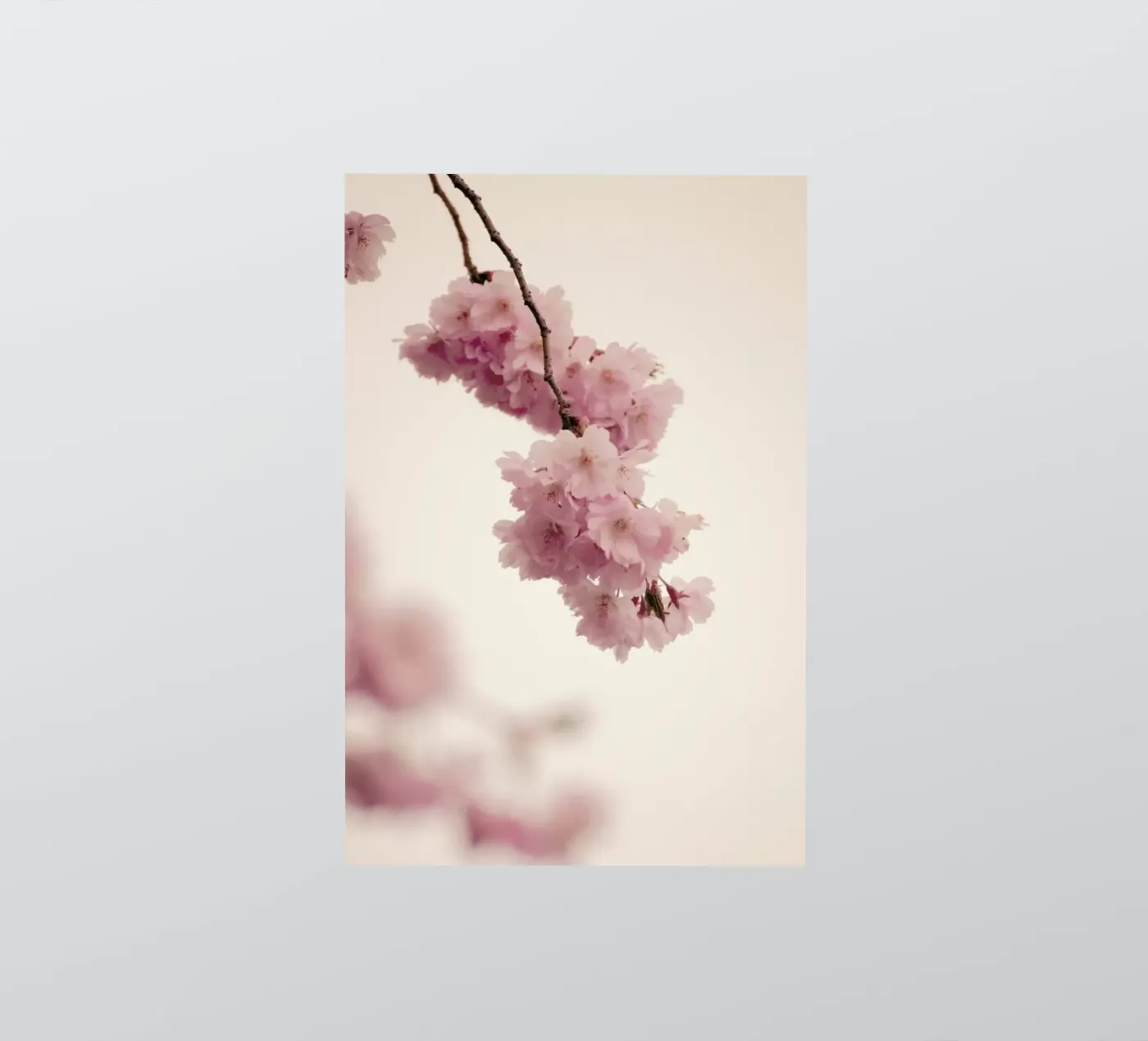 Forever Spring sticker van Monika Strigel