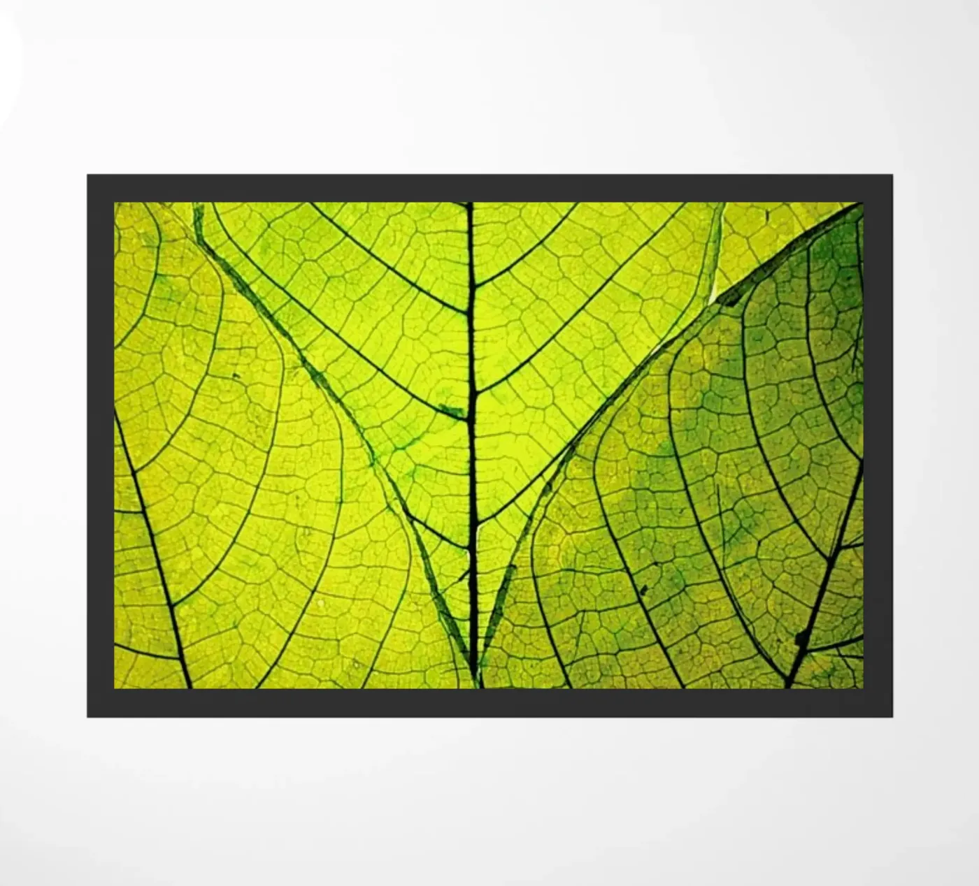 Every Leaf A Flower doormat by Robin Delean