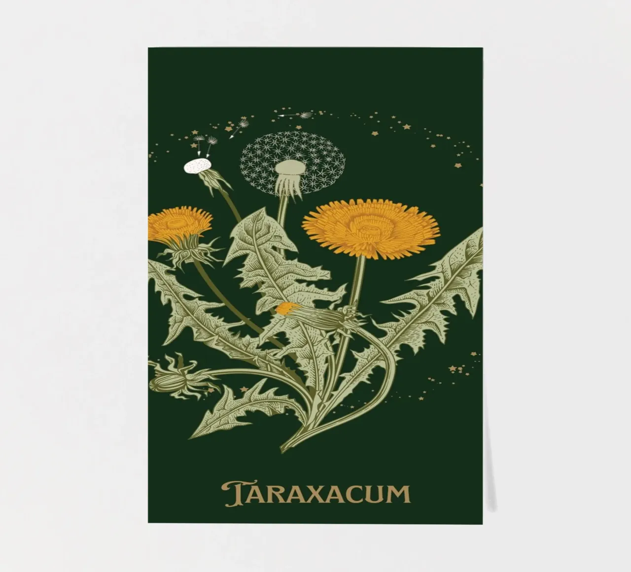 Taraxacum - Löwenzahn Stickerbogen von Luna & Noctua