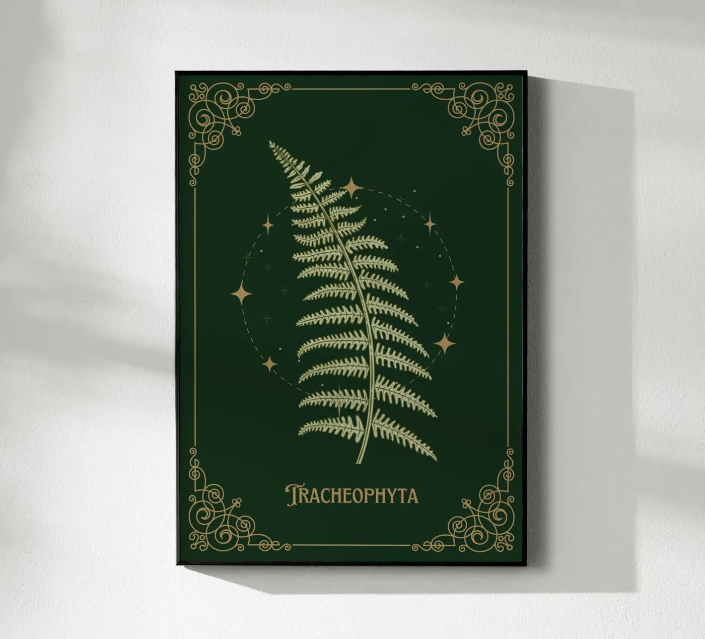 Tracheophyta - Farn plexiglass da Luna & Noctua