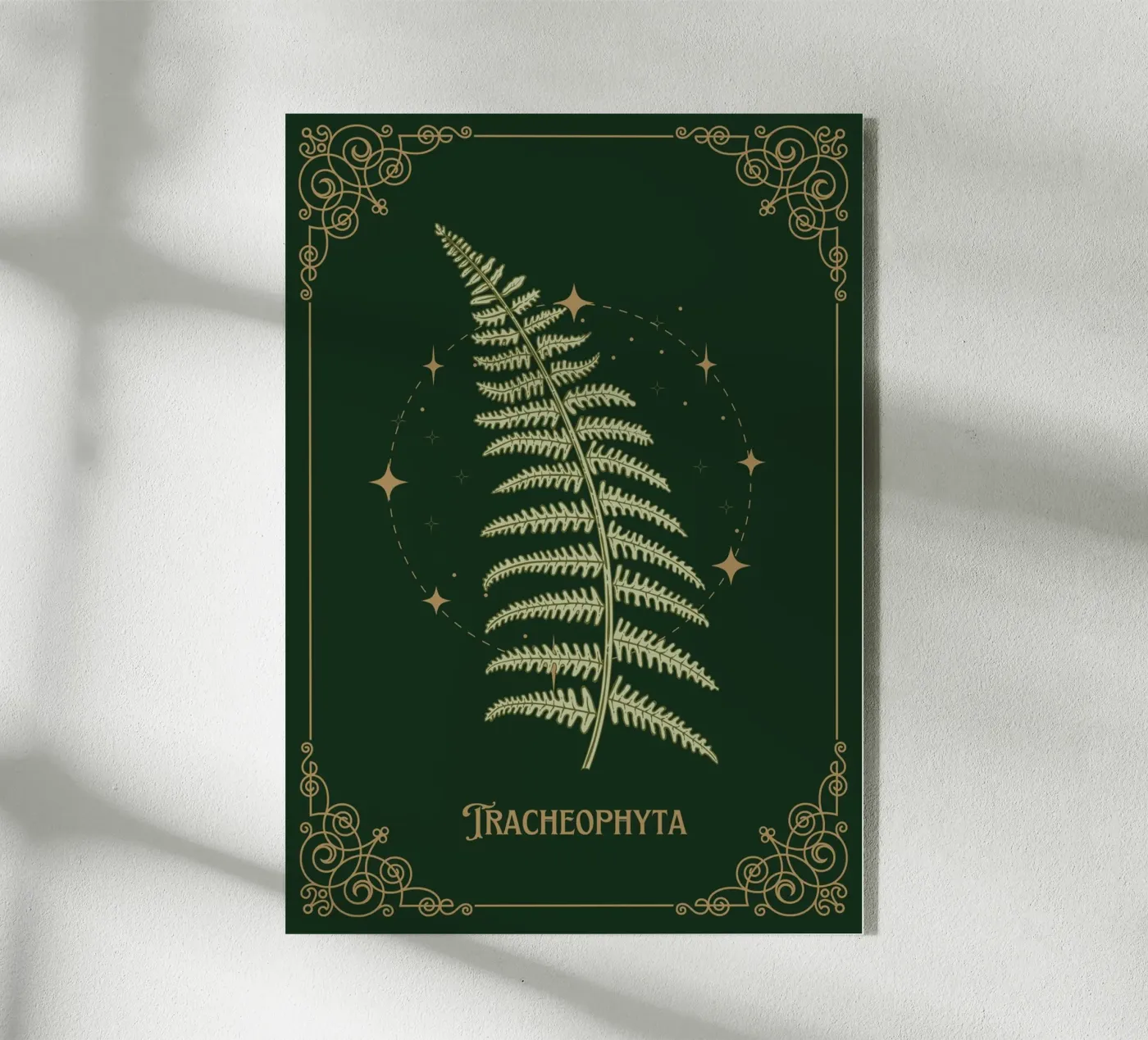 Tracheophyta - Farn plexiglass da Luna & Noctua