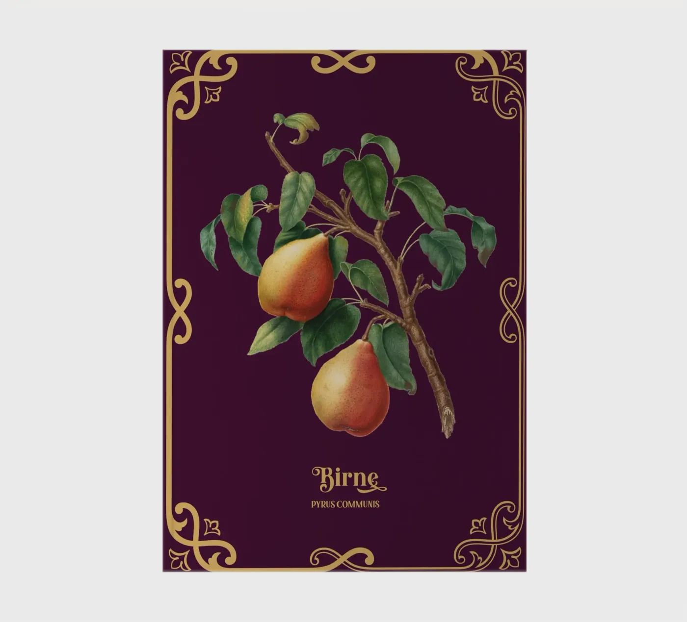 Birne notebook by Luna & Noctua