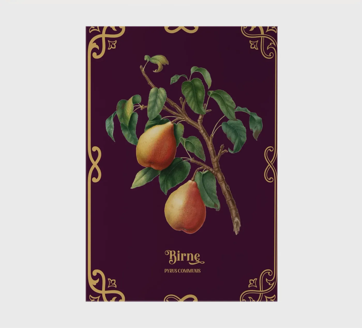 Birne notebook by Luna & Noctua