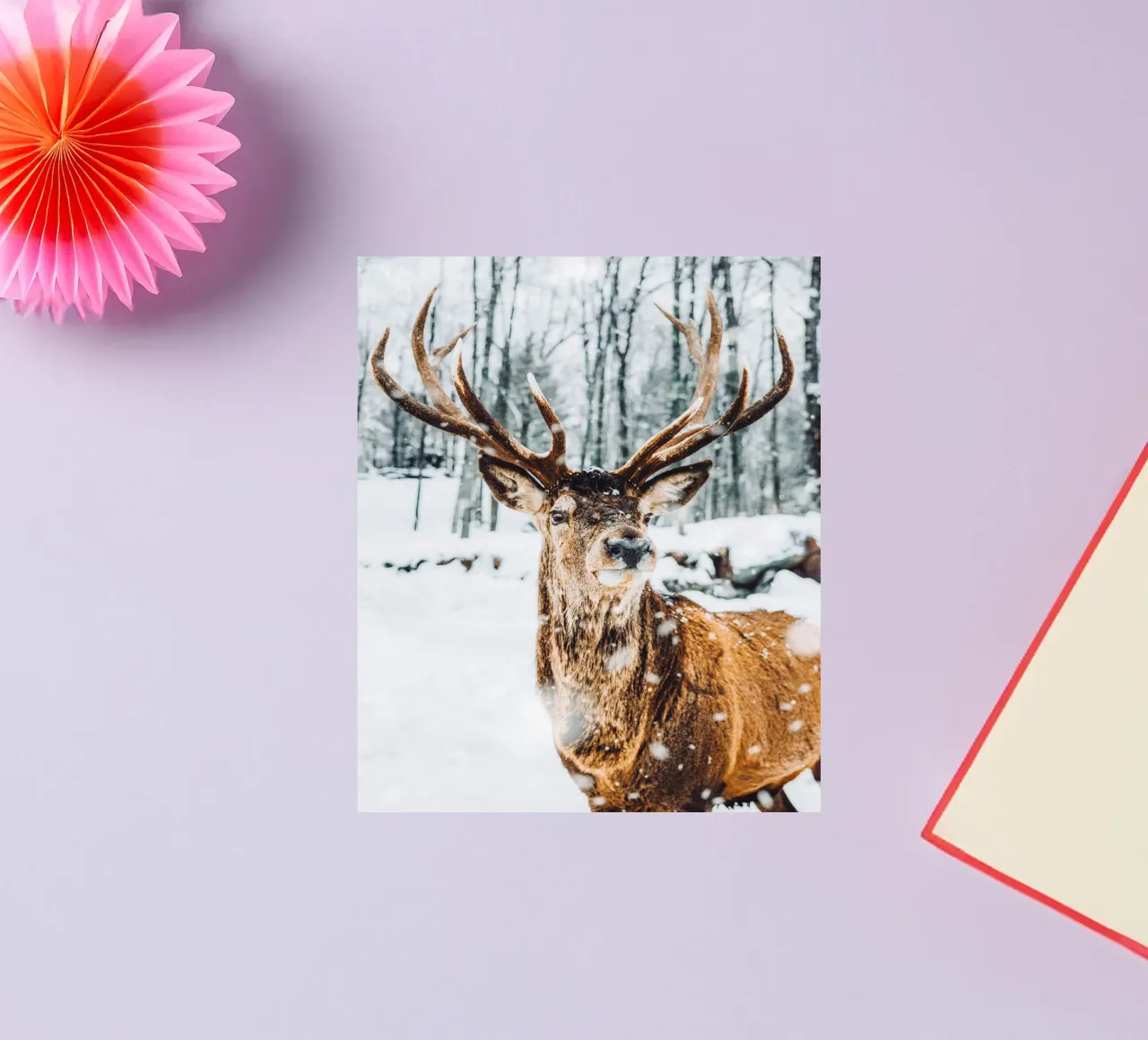 Majestueus hert winter ontwerp sticker van Whole©