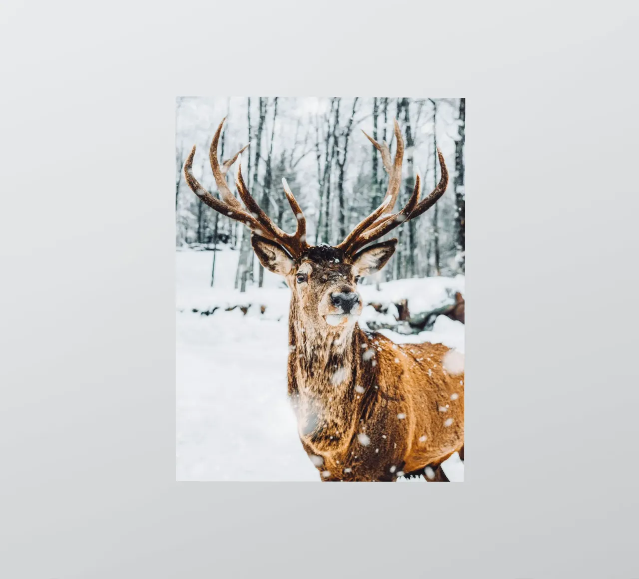 Majestueus hert winter ontwerp sticker van Whole©