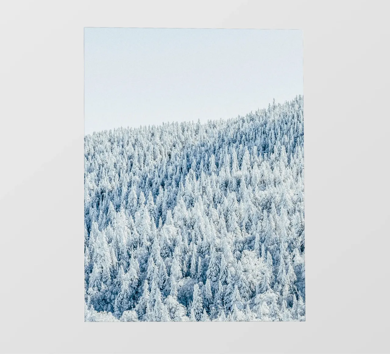 Foresta invernale innevata design natura pellicola backlit da Whole©