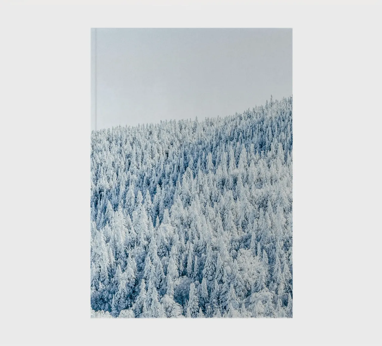 Snowy winter forest nature design notebook by Whole©