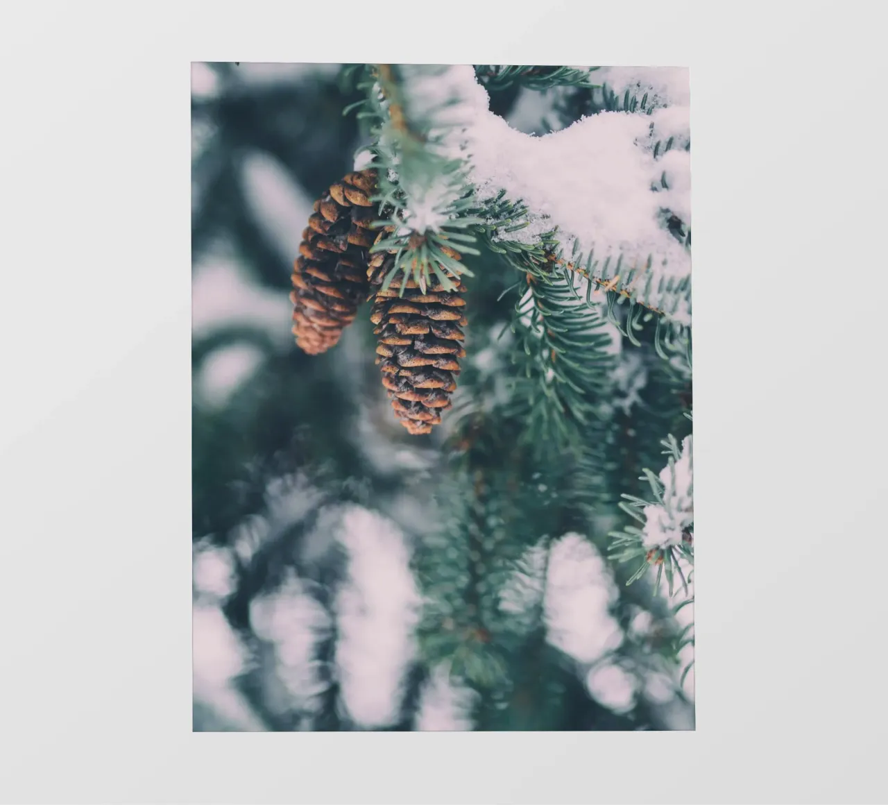 Pine cones in winter nature design photo wallpaper by Whole©