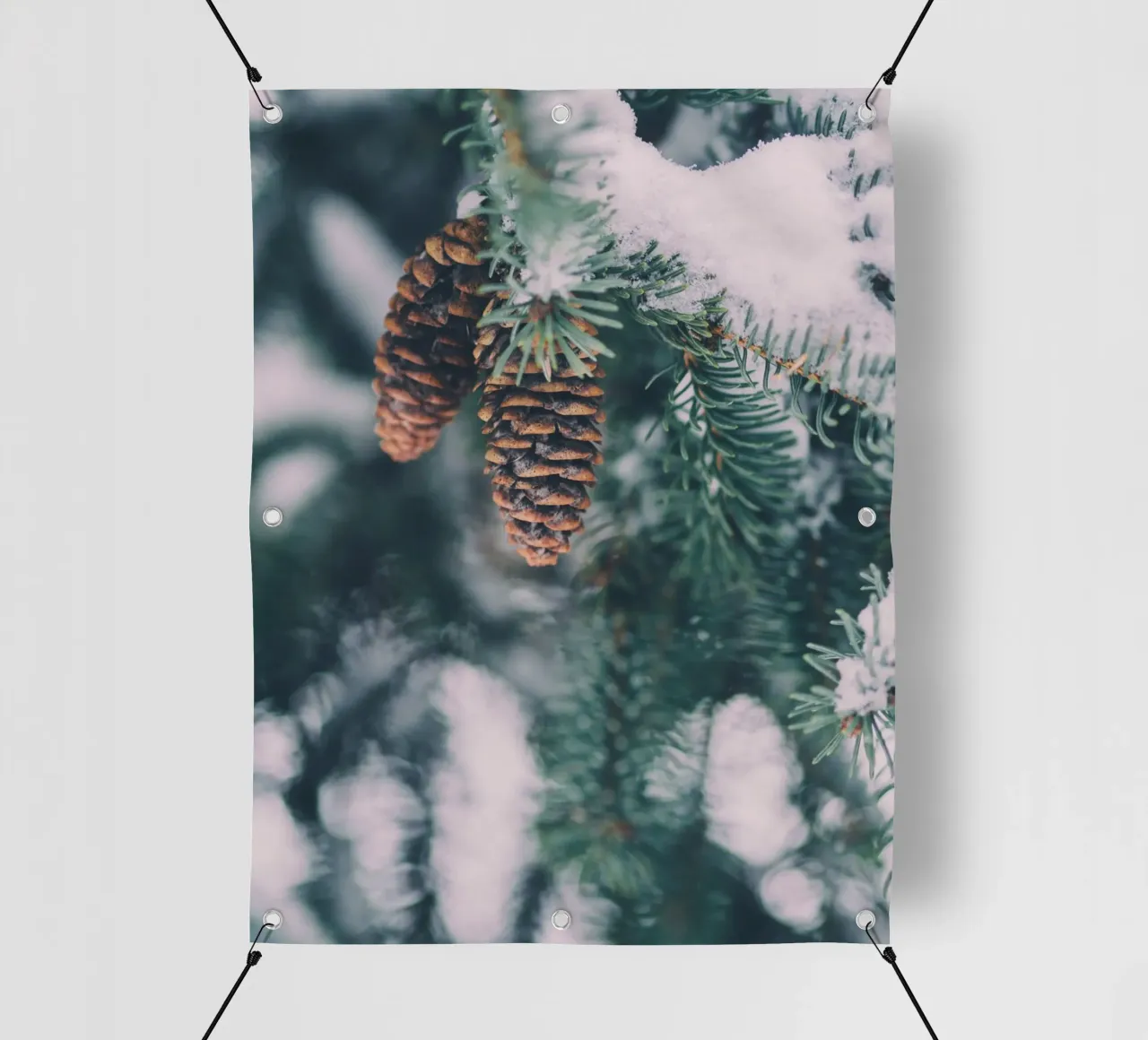 Coni di pino in inverno design natura telo in pvc da Whole©