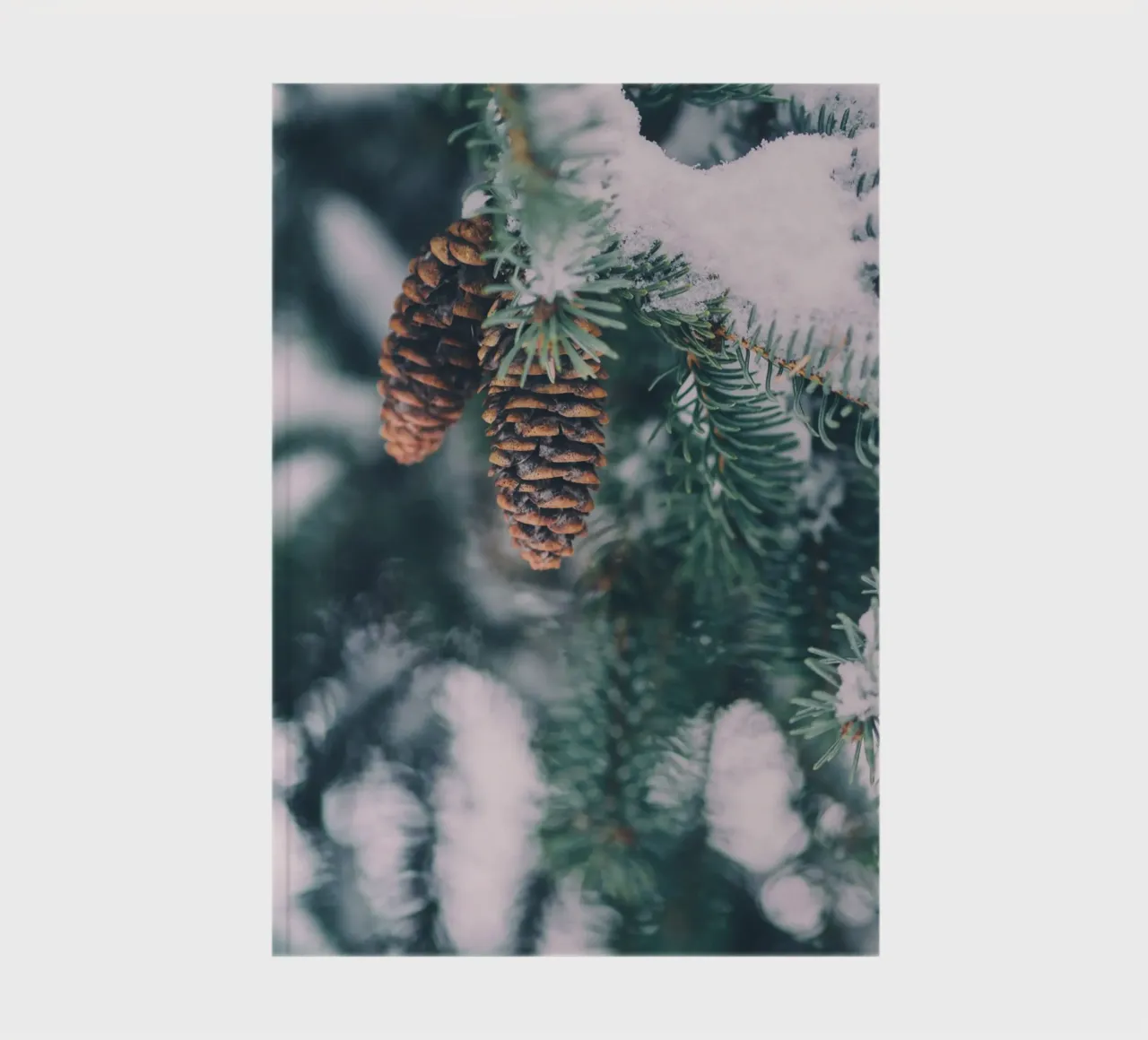 Pine cones in winter nature design notebook by Whole©
