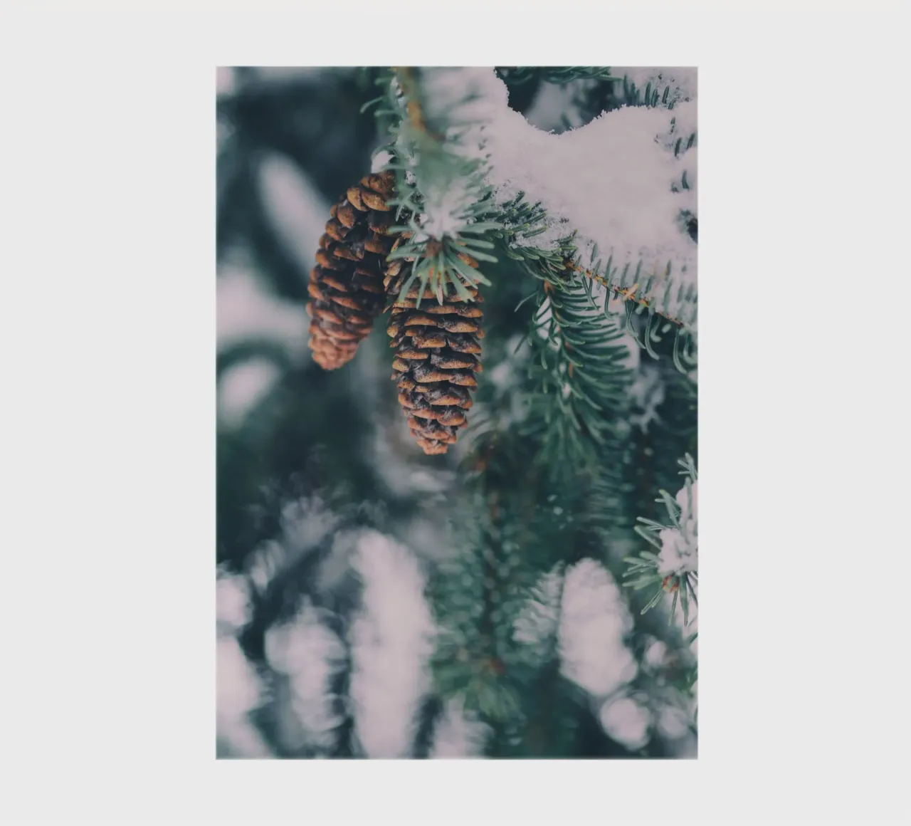 Pine cones in winter nature design notebook by Whole©