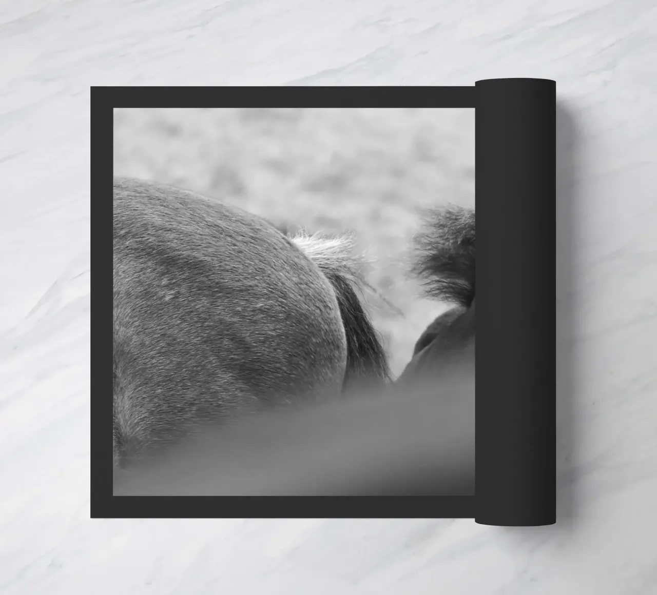 Shy Guy zerbino da Nur Mut